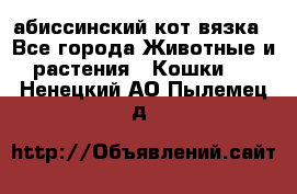 абиссинский кот вязка - Все города Животные и растения » Кошки   . Ненецкий АО,Пылемец д.